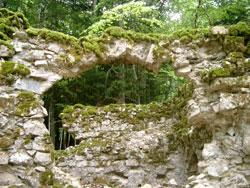 Ruines de la Chartreuse